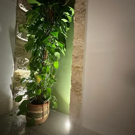 Zahir Apartment